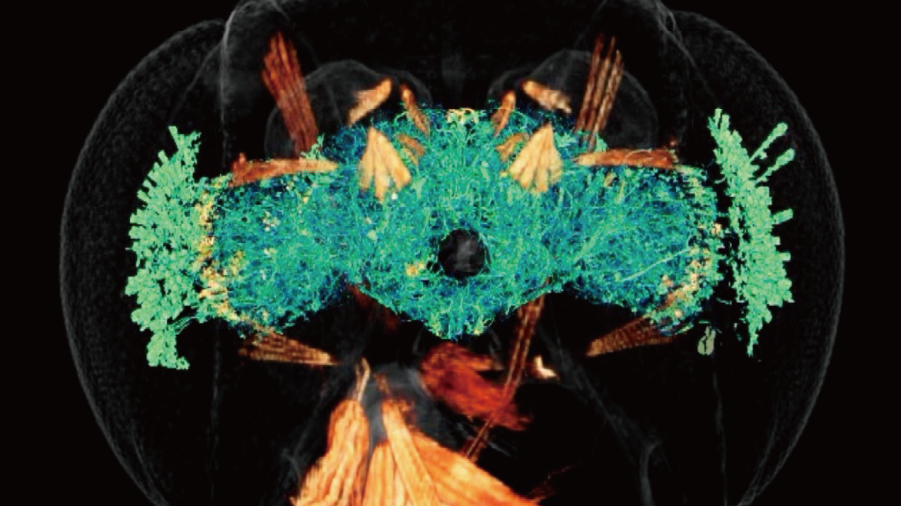 SC18-National Center for High-performance Computing