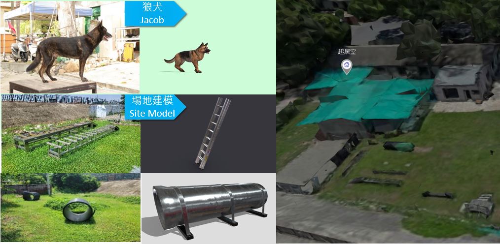 台中國際搜救犬訓練 台中國際搜救犬訓練