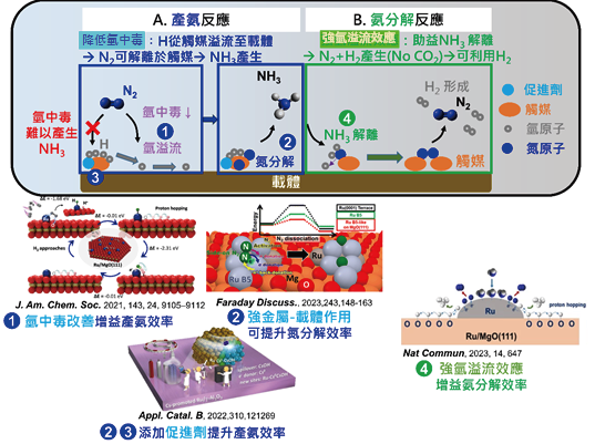 團隊研究成果於A.產氨反應與B.氨分解反應
