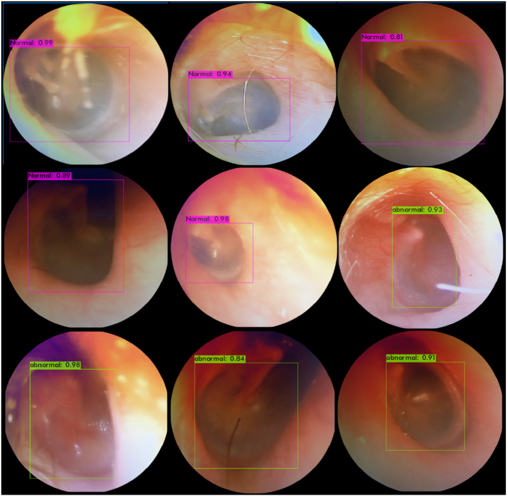 CYCU 團隊 CYCU 團隊
