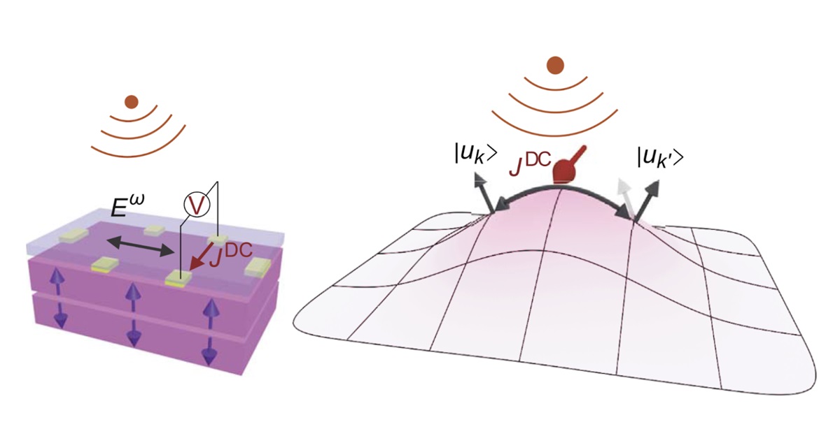 拓樸材料可在太赫茲頻率下產生完美的整流效應，是未來整流器的新興應用材料。