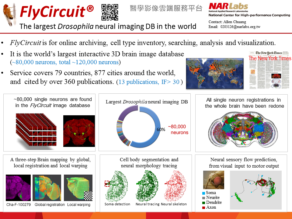 3D Brain Image Database 3D Brain Image Database