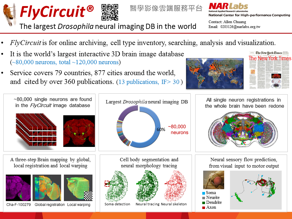 3D Brain Image Database